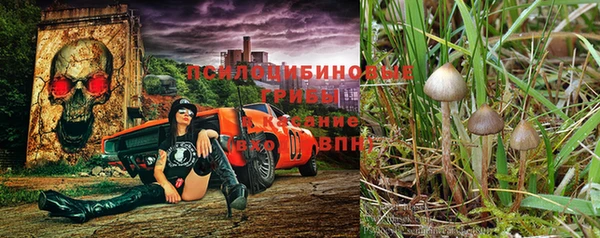 spice Арсеньев