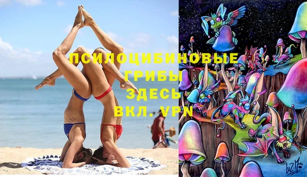 spice Арсеньев