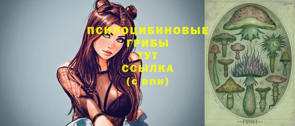 синтетический гашиш Алексеевка