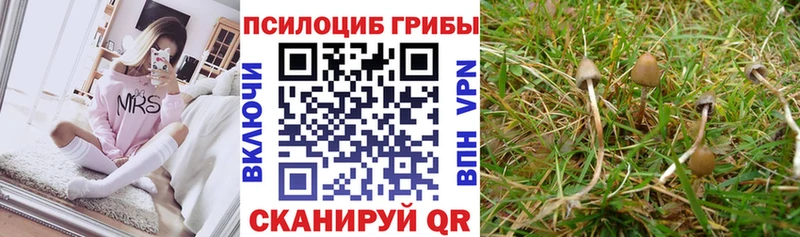 Галлюциногенные грибы мицелий  hydra онион  Краснотурьинск 